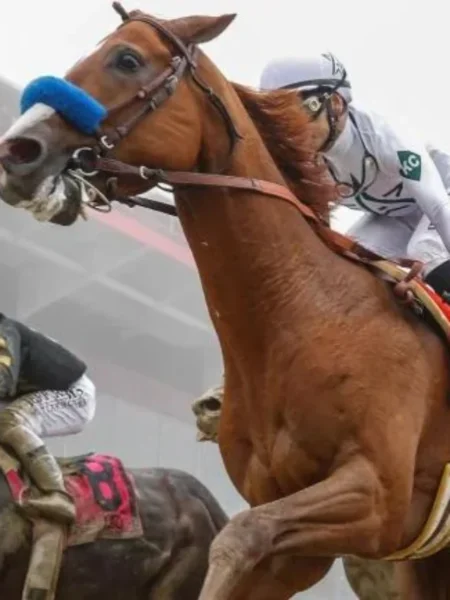 Preakness Stakes 2024 Predictions Expert Picks Horses Odds And Best Bets