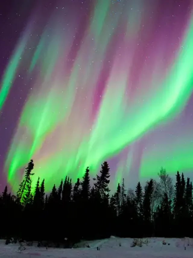 Northern lights California forecast: Will you be able to see aurora borealis?